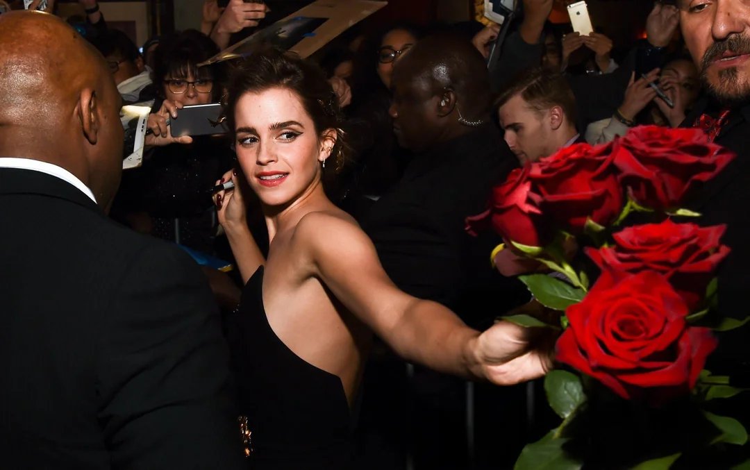 DhJYozAP Emma Watson. Just her face is enough 31.jpg